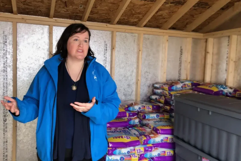 PAWS and Possibilities: How the Mattil Family Fund Helps People and Animals  